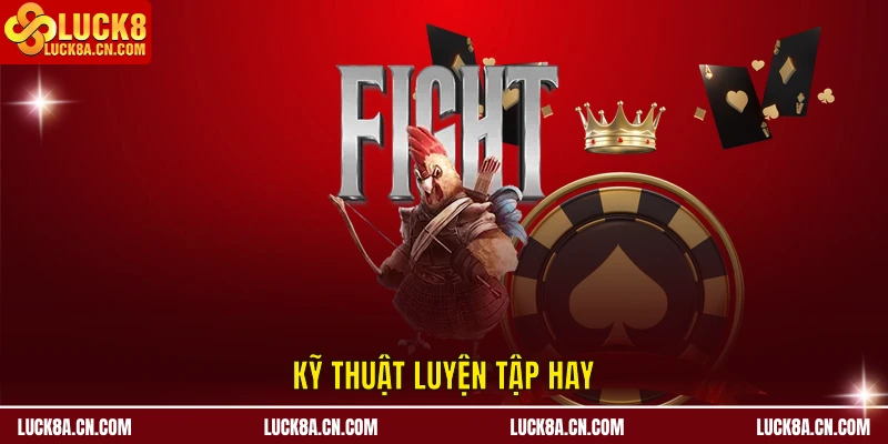 Kỹ thuật luyện tập trong cách dưỡng gà đá hay